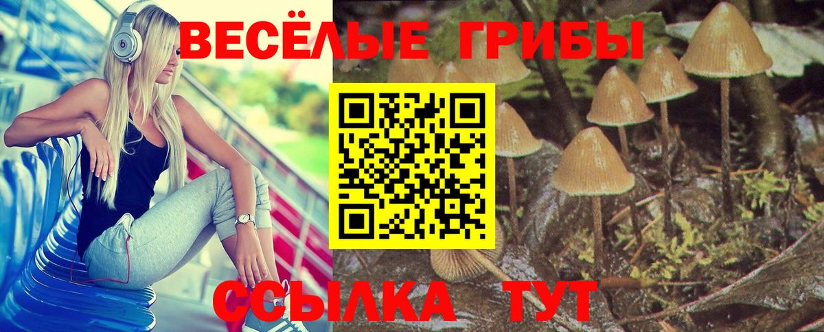 даркнет сайт  Галлюциногенные грибы ЛСД  Вход с VPN  Когалым 